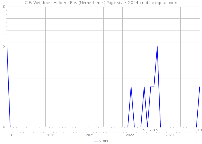 G.F. Weijtboer Holding B.V. (Netherlands) Page visits 2024 