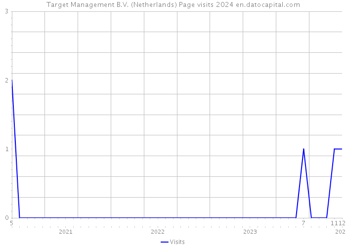 Target Management B.V. (Netherlands) Page visits 2024 