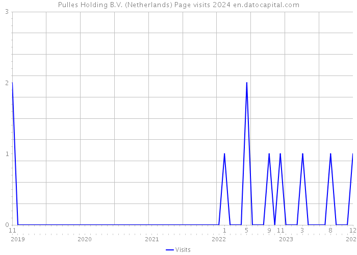 Pulles Holding B.V. (Netherlands) Page visits 2024 