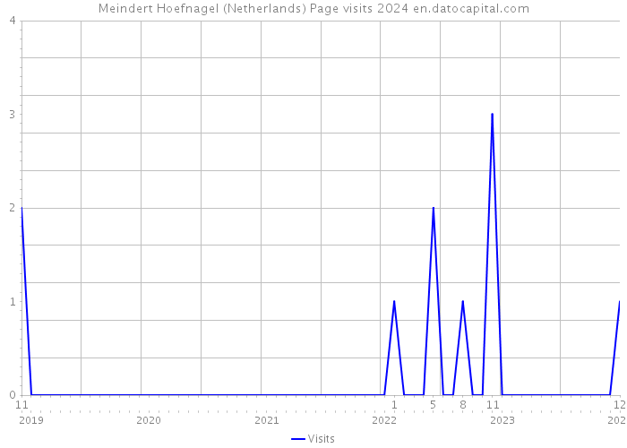 Meindert Hoefnagel (Netherlands) Page visits 2024 