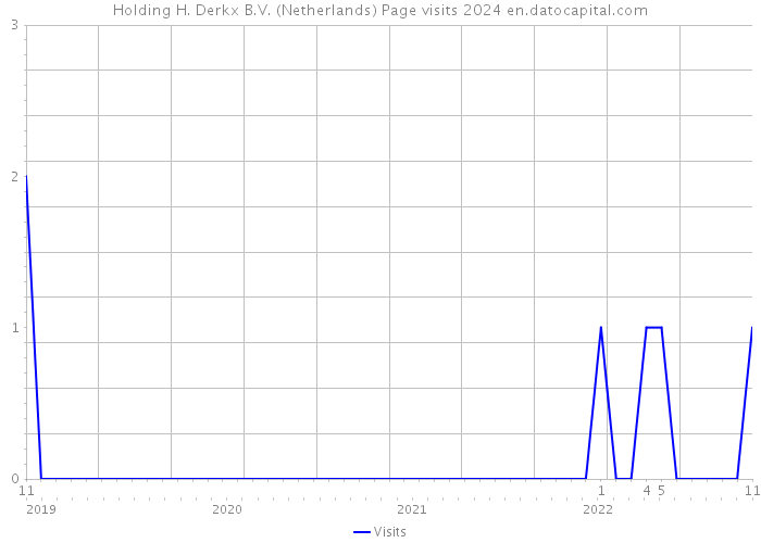 Holding H. Derkx B.V. (Netherlands) Page visits 2024 