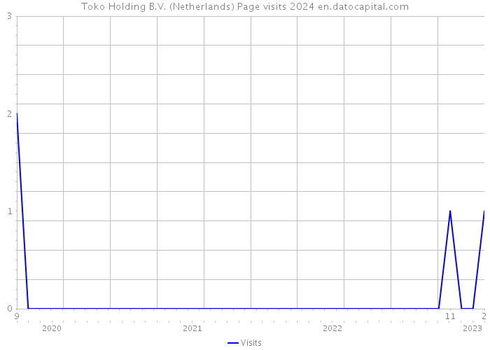Toko Holding B.V. (Netherlands) Page visits 2024 