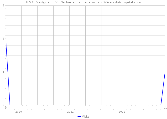 B.S.G. Vastgoed B.V. (Netherlands) Page visits 2024 