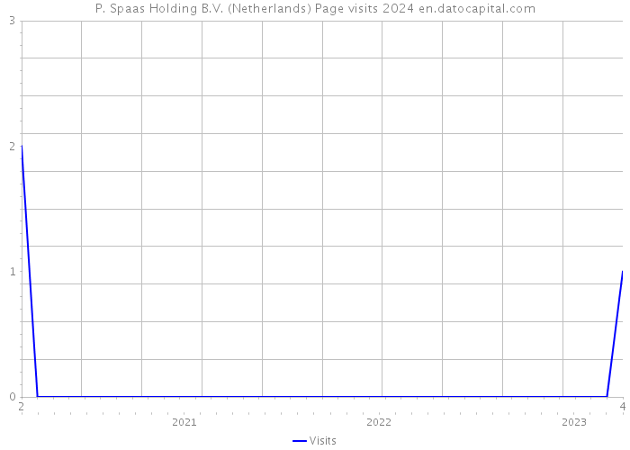 P. Spaas Holding B.V. (Netherlands) Page visits 2024 