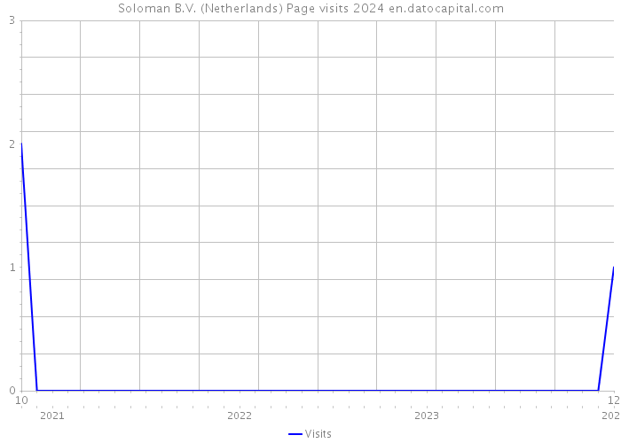 Soloman B.V. (Netherlands) Page visits 2024 