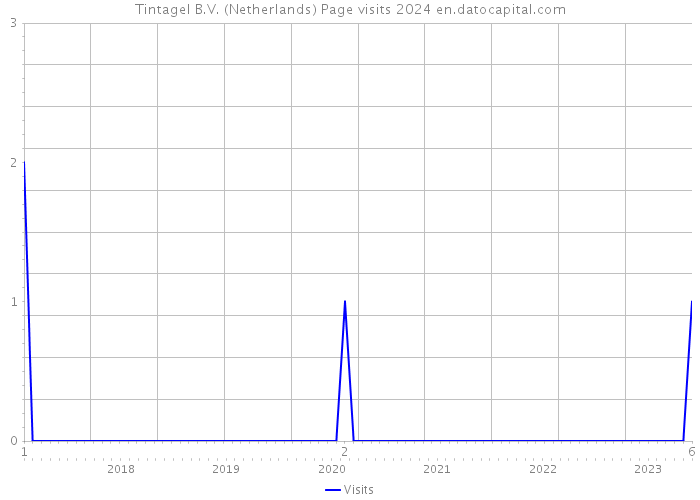 Tintagel B.V. (Netherlands) Page visits 2024 