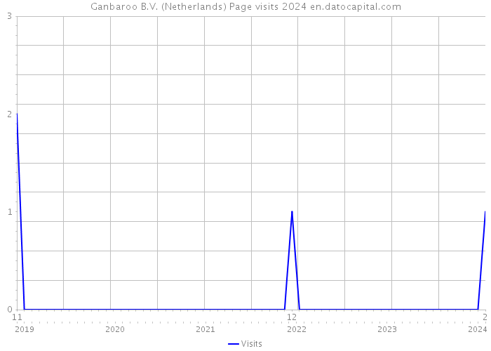 Ganbaroo B.V. (Netherlands) Page visits 2024 