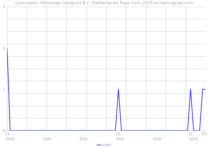 Gebroeders Okkerman Vastgoed B.V. (Netherlands) Page visits 2024 