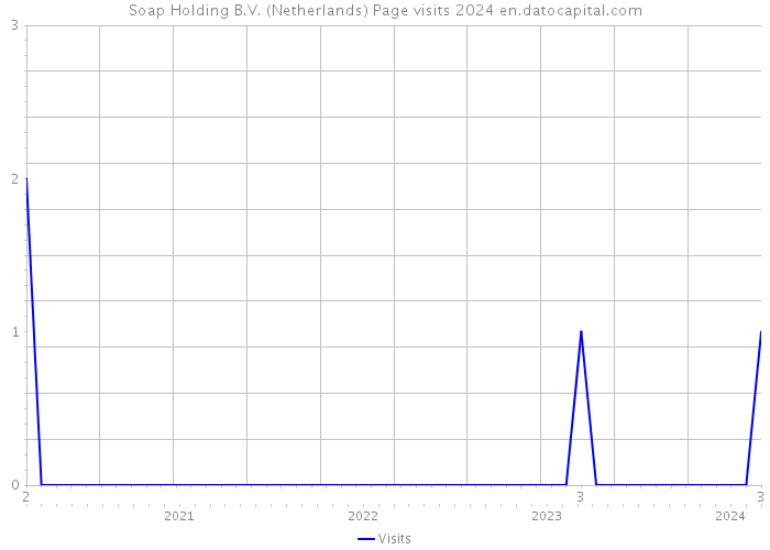 Soap Holding B.V. (Netherlands) Page visits 2024 