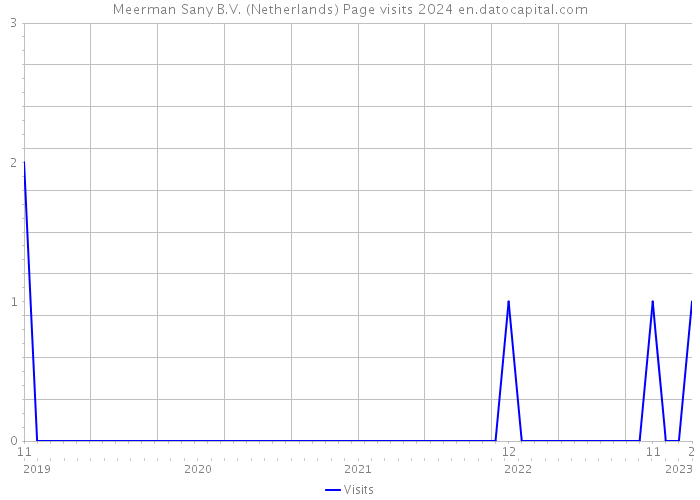 Meerman Sany B.V. (Netherlands) Page visits 2024 