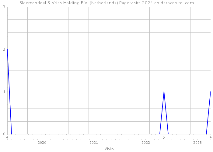 Bloemendaal & Vries Holding B.V. (Netherlands) Page visits 2024 