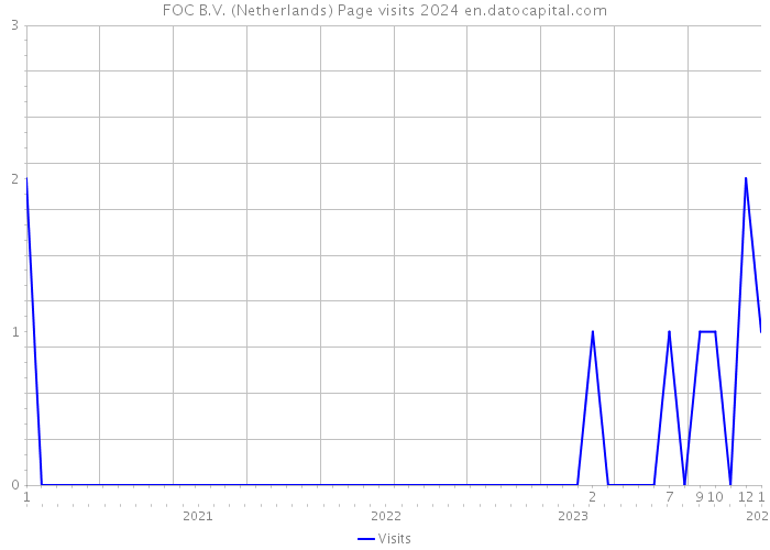 FOC B.V. (Netherlands) Page visits 2024 