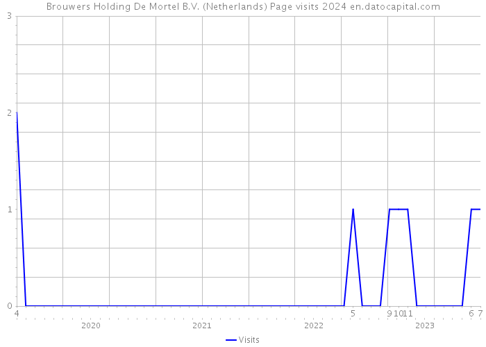 Brouwers Holding De Mortel B.V. (Netherlands) Page visits 2024 
