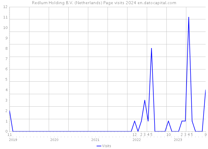 Redlum Holding B.V. (Netherlands) Page visits 2024 