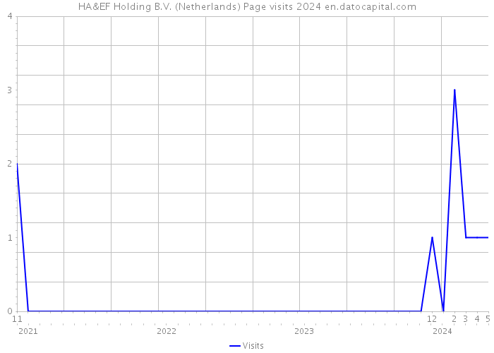 HA&EF Holding B.V. (Netherlands) Page visits 2024 