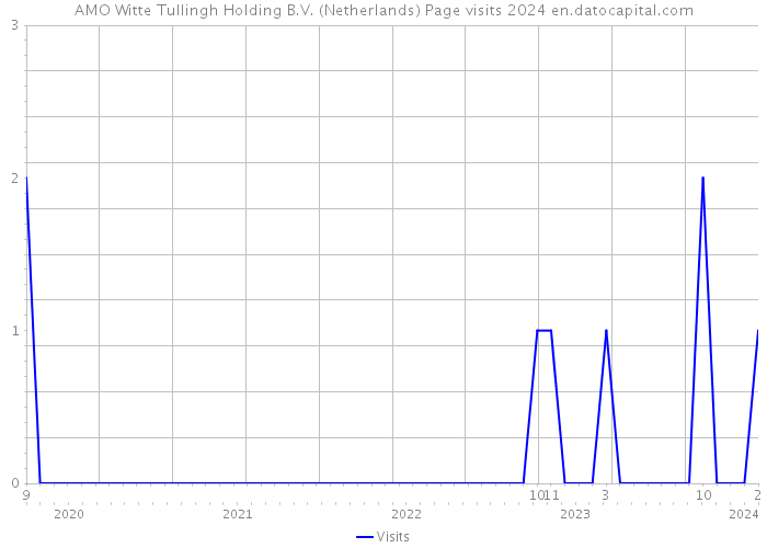 AMO Witte Tullingh Holding B.V. (Netherlands) Page visits 2024 