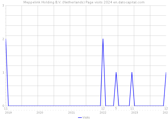 Meppelink Holding B.V. (Netherlands) Page visits 2024 