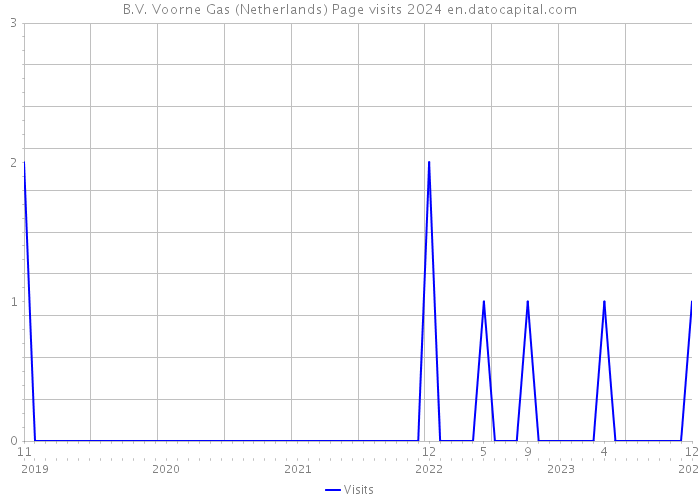 B.V. Voorne Gas (Netherlands) Page visits 2024 