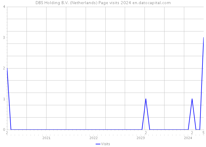 DBS Holding B.V. (Netherlands) Page visits 2024 