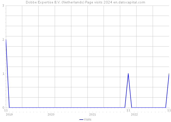 Dobbe Expertise B.V. (Netherlands) Page visits 2024 