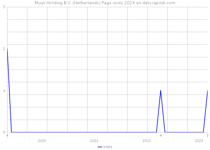 Muys Holding B.V. (Netherlands) Page visits 2024 