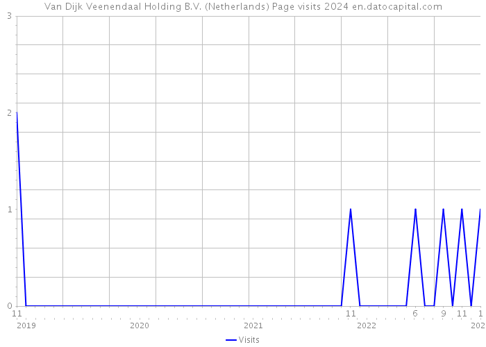 Van Dijk Veenendaal Holding B.V. (Netherlands) Page visits 2024 