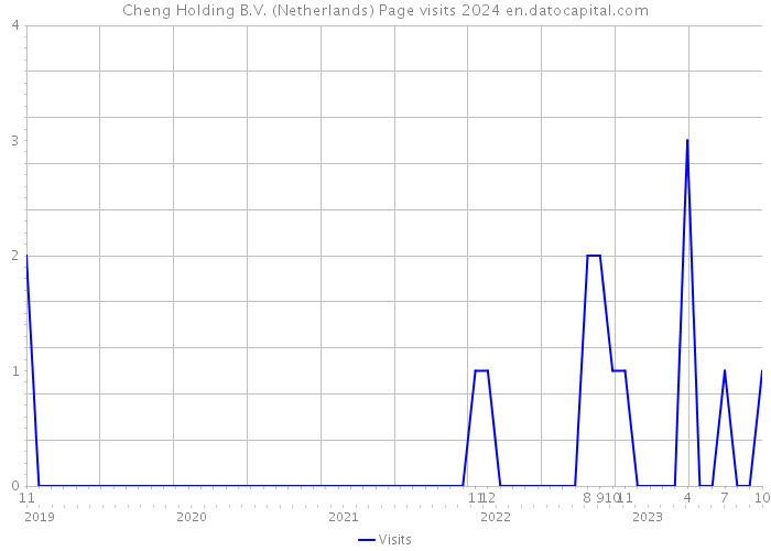 Cheng Holding B.V. (Netherlands) Page visits 2024 