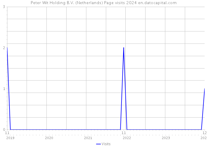 Peter Wit Holding B.V. (Netherlands) Page visits 2024 