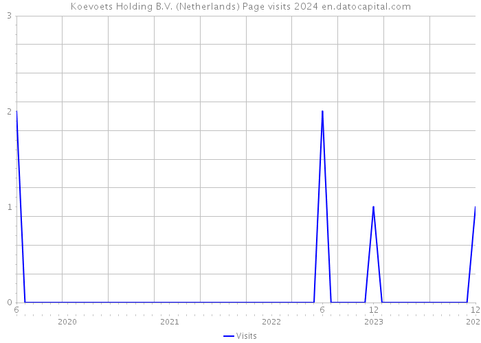 Koevoets Holding B.V. (Netherlands) Page visits 2024 