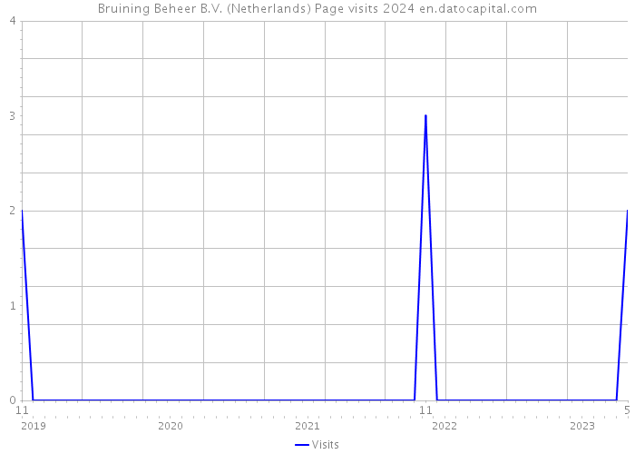 Bruining Beheer B.V. (Netherlands) Page visits 2024 