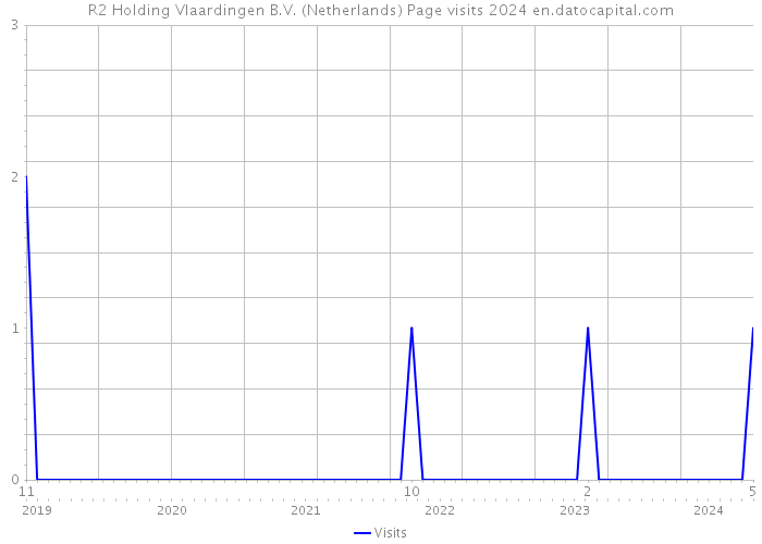 R2 Holding Vlaardingen B.V. (Netherlands) Page visits 2024 