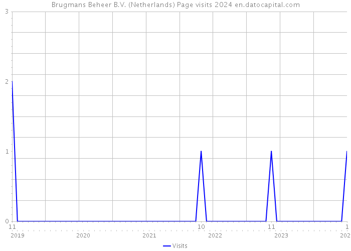 Brugmans Beheer B.V. (Netherlands) Page visits 2024 