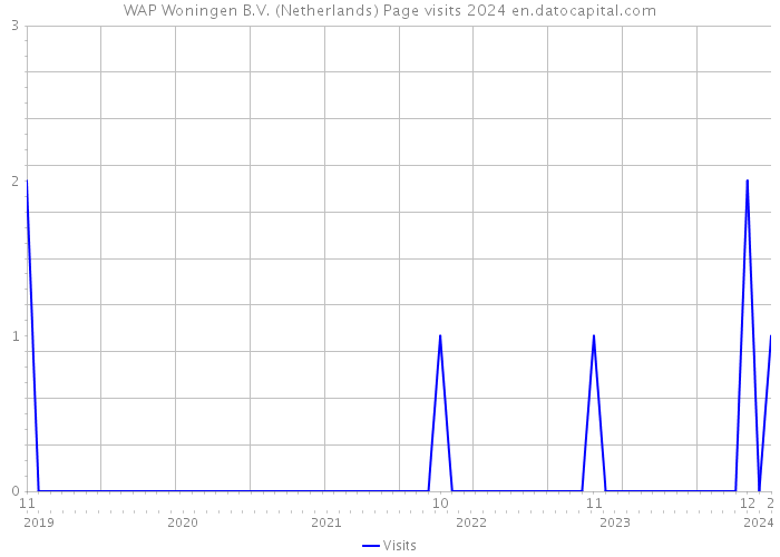 WAP Woningen B.V. (Netherlands) Page visits 2024 