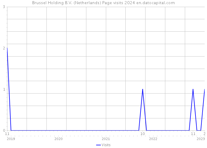 Brussel Holding B.V. (Netherlands) Page visits 2024 