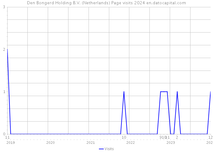 Den Bongerd Holding B.V. (Netherlands) Page visits 2024 