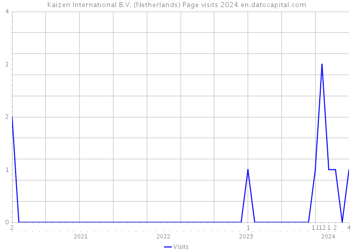 Kaizen International B.V. (Netherlands) Page visits 2024 