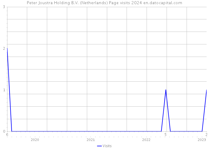 Peter Joustra Holding B.V. (Netherlands) Page visits 2024 