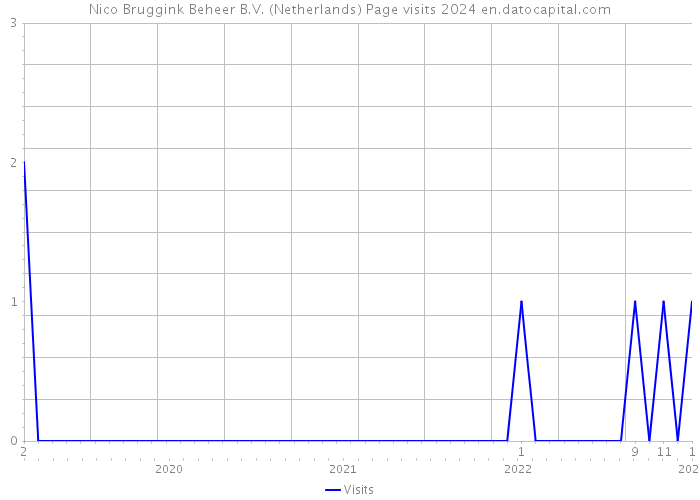 Nico Bruggink Beheer B.V. (Netherlands) Page visits 2024 