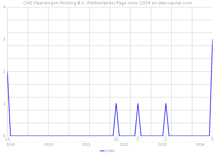 CAE Vlaardingen Holding B.V. (Netherlands) Page visits 2024 