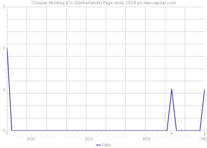 Circular Holding B.V. (Netherlands) Page visits 2024 