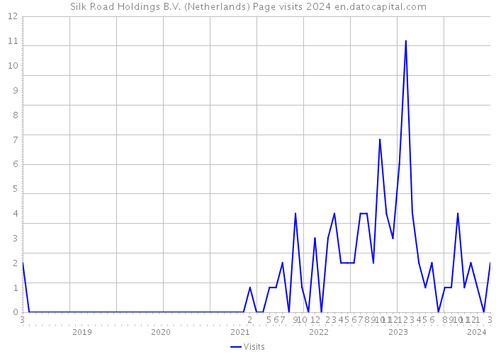 Silk Road Holdings B.V. (Netherlands) Page visits 2024 