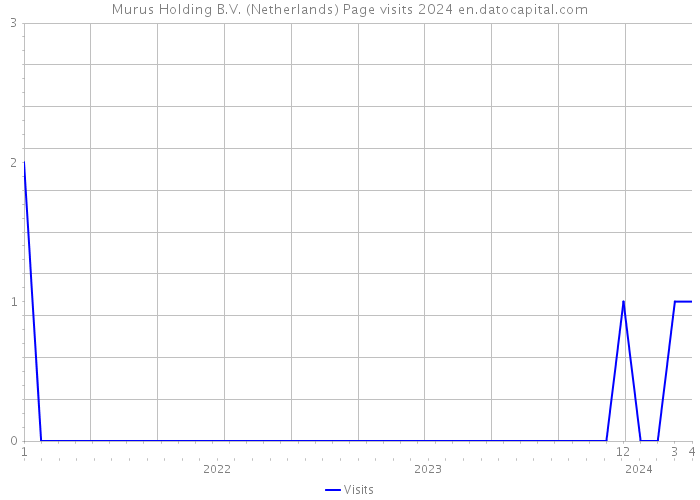 Murus Holding B.V. (Netherlands) Page visits 2024 