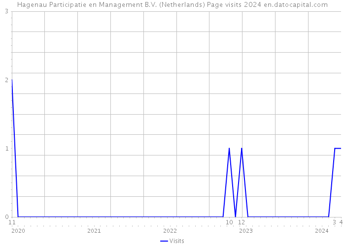Hagenau Participatie en Management B.V. (Netherlands) Page visits 2024 