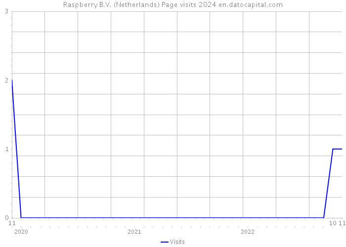 Raspberry B.V. (Netherlands) Page visits 2024 