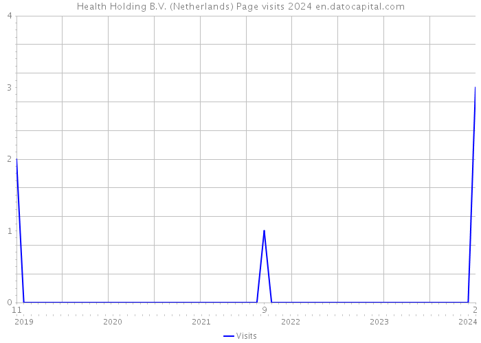 Health Holding B.V. (Netherlands) Page visits 2024 