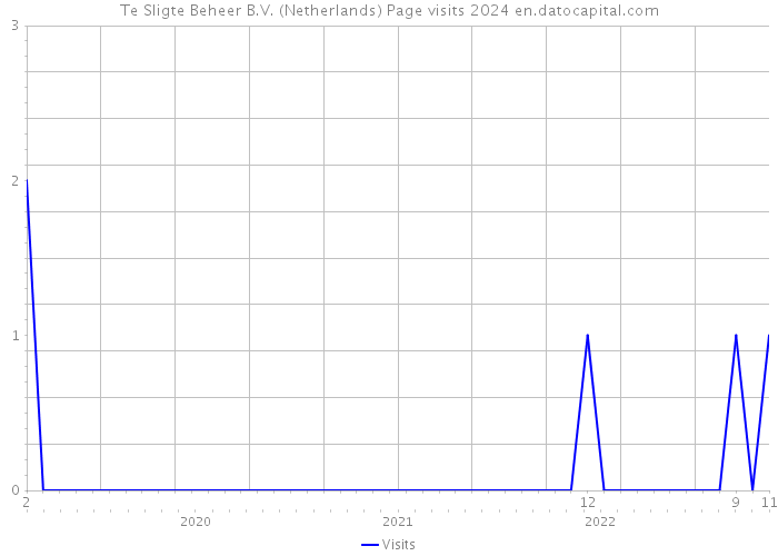 Te Sligte Beheer B.V. (Netherlands) Page visits 2024 