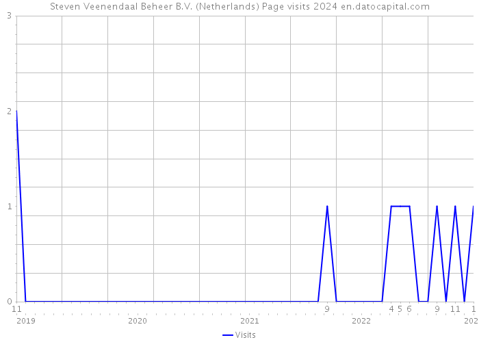 Steven Veenendaal Beheer B.V. (Netherlands) Page visits 2024 