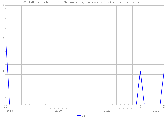 Wortelboer Holding B.V. (Netherlands) Page visits 2024 