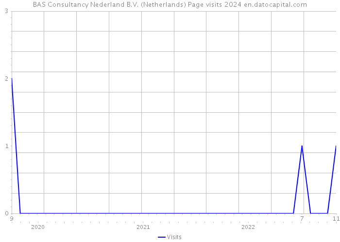 BAS Consultancy Nederland B.V. (Netherlands) Page visits 2024 