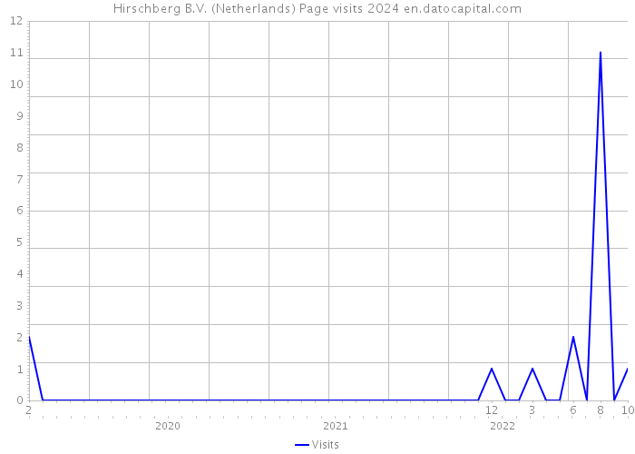 Hirschberg B.V. (Netherlands) Page visits 2024 
